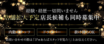 高級ニューハーフヘルス-シーメール-永遠-Shemale Eternal-名古屋店